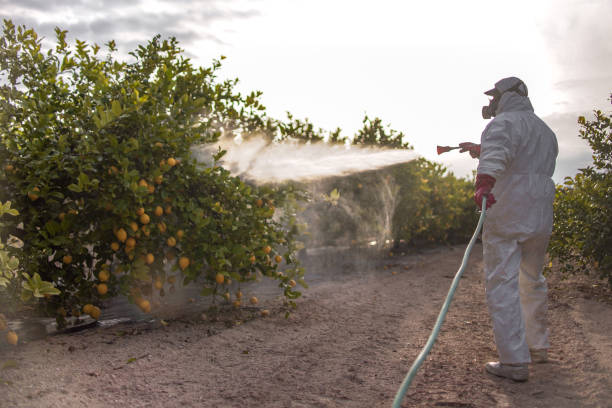 Best Exterminator Services  in Sloatsburg, NY
