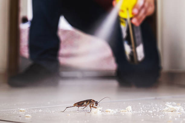 Best Flea Control Services  in Sloatsburg, NY