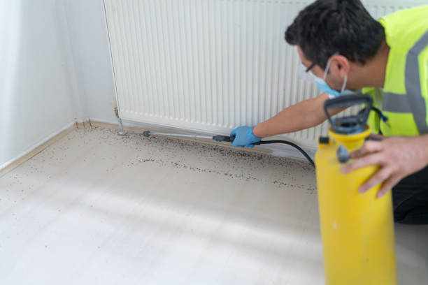 Best Exterminator Services  in Sloatsburg, NY